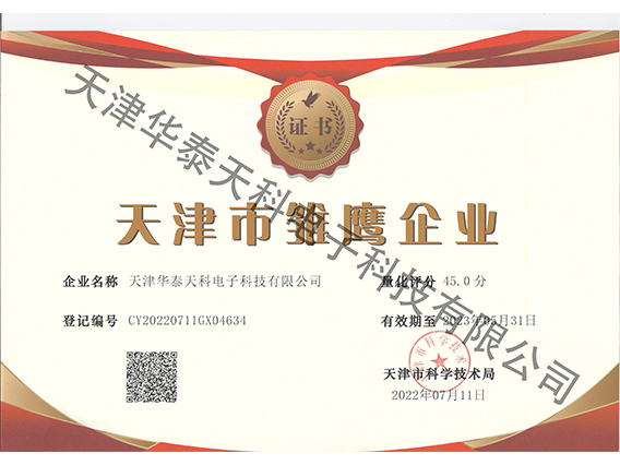天津市雏鹰企业证书